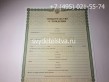 Свидетельство о рождении с 1998 г