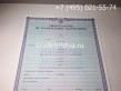 Свидетельство об усыновлении с 1998 г